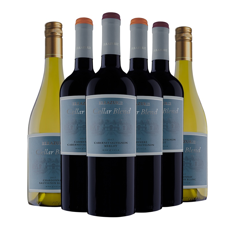 智利原瓶进口 伊拉苏酒窖混酿干红干白葡萄酒 混合装随机发 750ml*6整箱装
