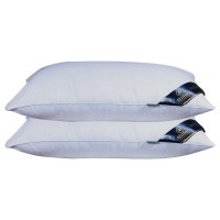 泰念Tai nian2020新款简约纯色百搭羽丝绒枕芯48cm*74cm 单边双边白色星级酒店床上用品高低成人单人枕芯