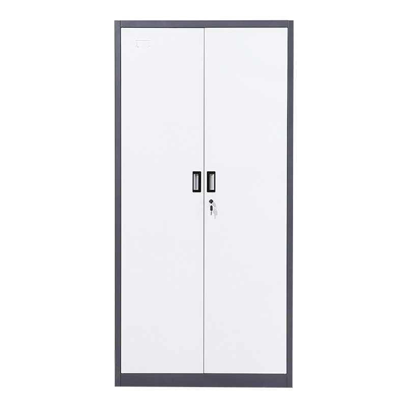 三圣 办公家具套色加厚通门文件柜铁皮柜档案柜资料柜文件柜其他金属办公柜收纳柜整理柜可定制