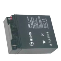 瑞玛 UNL150-2 2V 150AH 172*102*205 瑞玛 1个