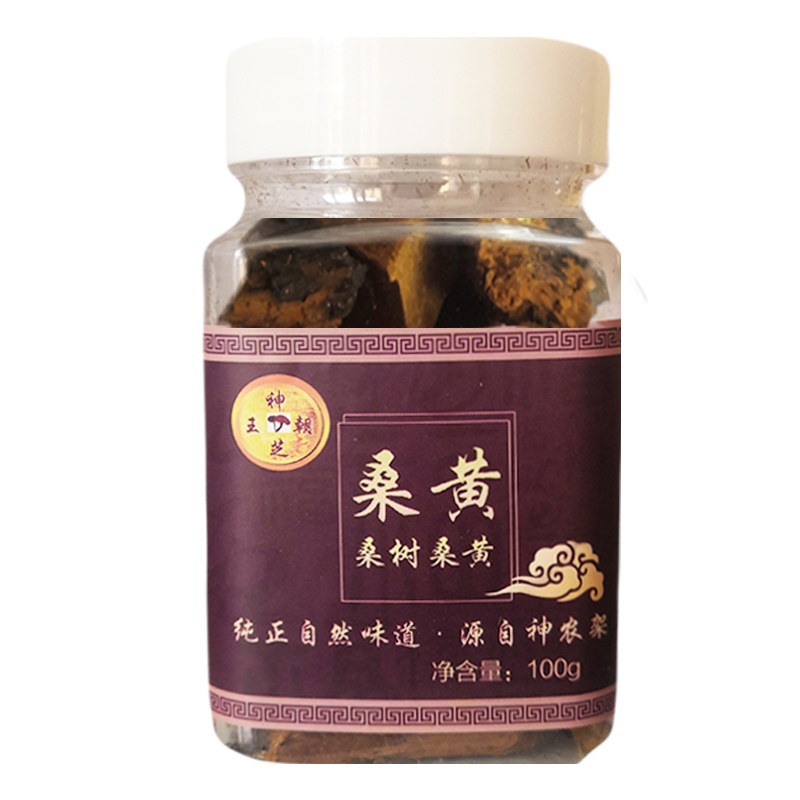 神芝王朝 野生桑黄菌100克 神农架野生桑树桑黄菇桑黄灵芝正品