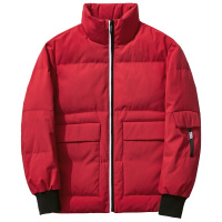 千纸鹤男士立领短款外套2019年冬季青年潮流纯色休闲羽绒服60153