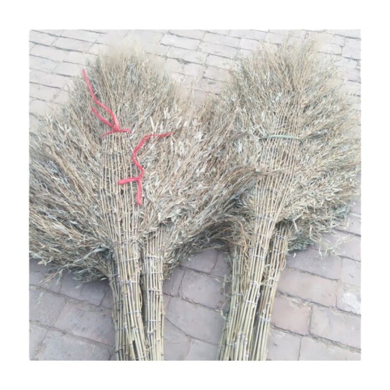 Sweet Summer竹子大扫把10把G866 10把/捆 65888