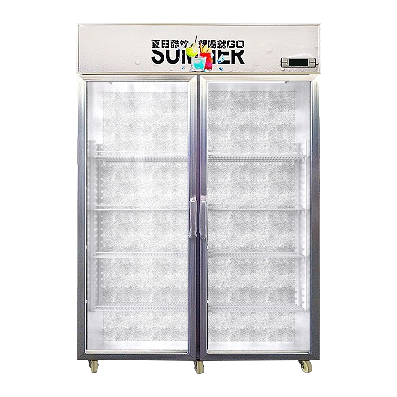 乐创(lecon)展示柜冷藏饮料柜商用立式冰柜冰箱冷柜保鲜柜 [双门星光银] [风冷上压缩机]