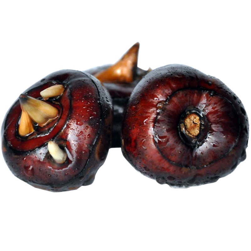 精选新鲜马蹄脆甜少渣荸荠红皮蔬菜水果马蹄带皮3斤果果私语广西马蹄荸荠农家蔬菜批发马蹄果鲜水果小地栗梨