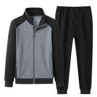 YIBULUOTUO套装2021新款秋季纯棉男士休闲立领运动套装开衫拉链运动两件套