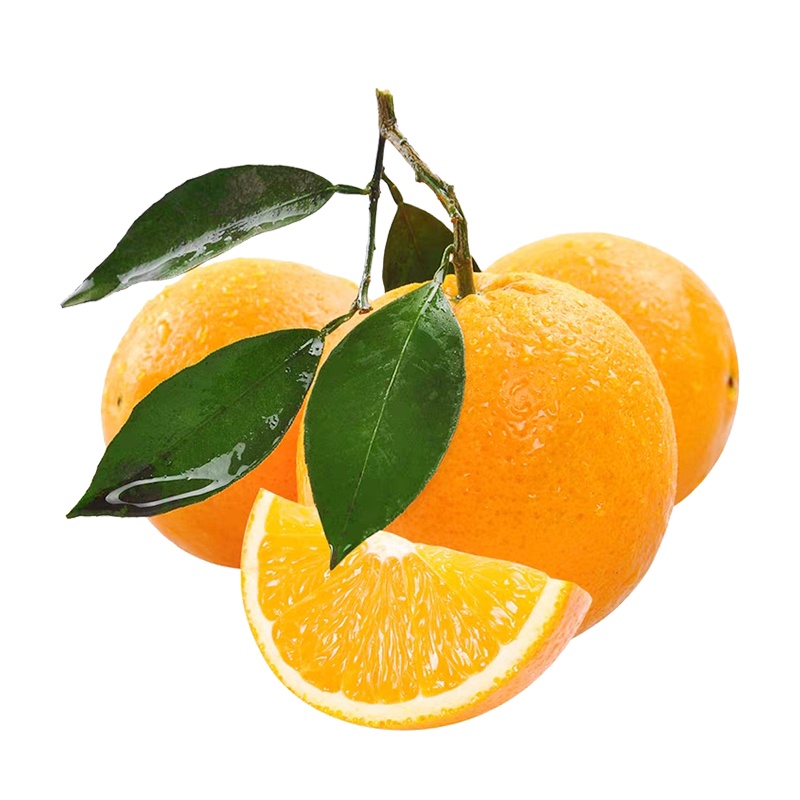 柱果缘 湖北秭归 长虹脐橙 带箱5斤装 橙子坏果包赔 当季新鲜水果