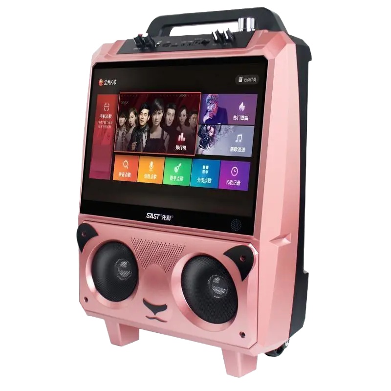 先科(SAST)广场舞音响带显示屏幕大屏拉杆户外家用无线话筒跳舞k歌一体机大功率音量蓝牙移动唱歌ktv音箱视频播放器