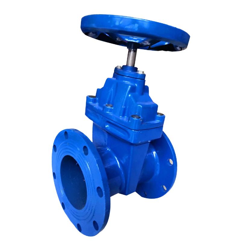 尧字远大法兰铸铁暗杆闸阀Z45T-16 DN80 1个