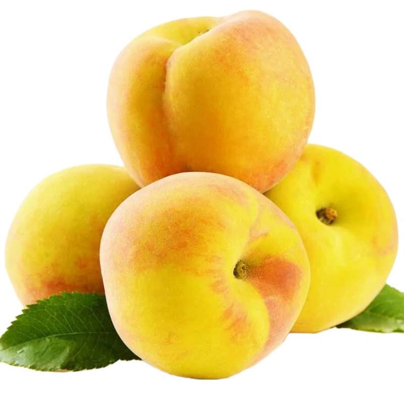 [五个农民]山东沂蒙山黄毛桃4.5斤装 新鲜脆甜 泡沫网托包装