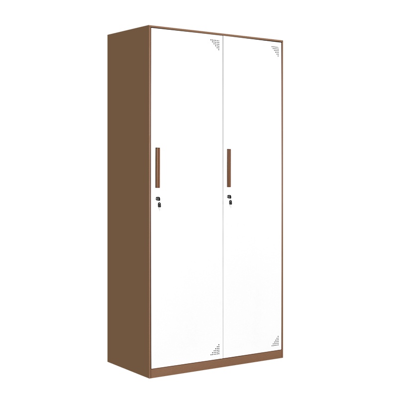 【红心家居】员工宿舍两门铁皮更衣柜储物柜文件柜存包柜