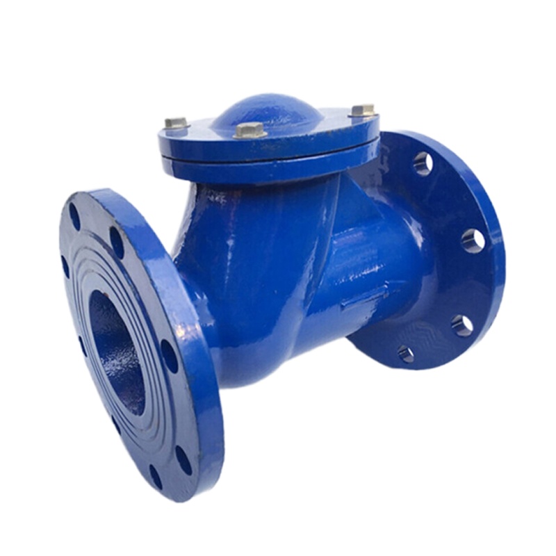 尧字 远大 球形止回阀HQ41X-16Q 球墨铸铁止回阀 法兰 DN80 1个