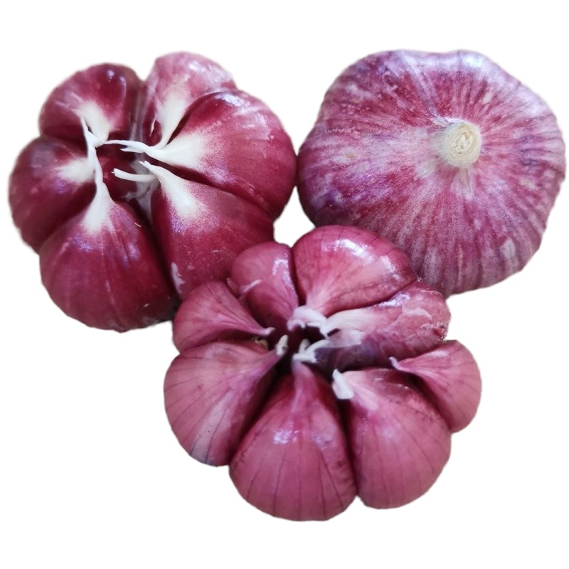 干多瓣蒜2.5kg 干蒜多瓣蒜大蒜头鲜蒜糖醋蒜干蒜