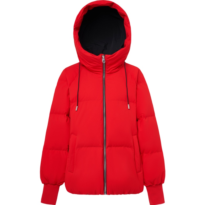 波司登女羽绒服新款时尚连帽冬季短款保暖外套潮_2