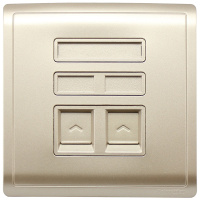 施耐德电气（Schneider Electric）开关插座 电话+电脑插座 网络网线弱电面板 丰尚金色
