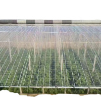 长寿双防无滴膜 12丝