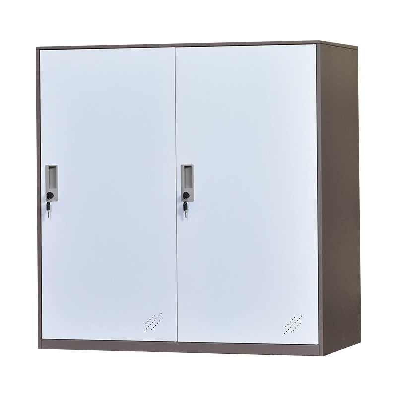 [一鹏]矮柜2门更衣柜铁皮柜员工储物柜鞋柜带锁工具柜