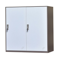 [一鹏]矮柜2门更衣柜铁皮柜员工储物柜鞋柜带锁工具柜