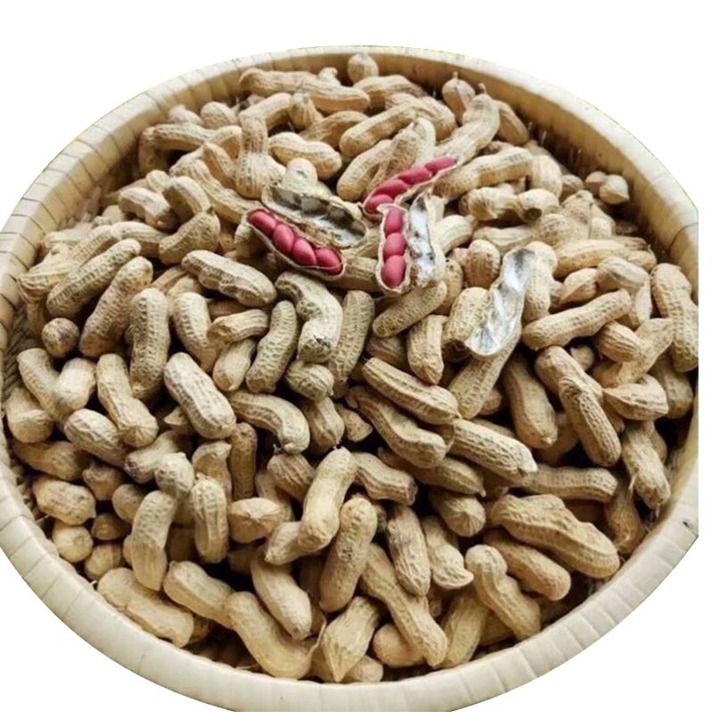 红皮花生米休闲零食小吃下酒菜早餐 (生)带壳晒干红皮花生500g