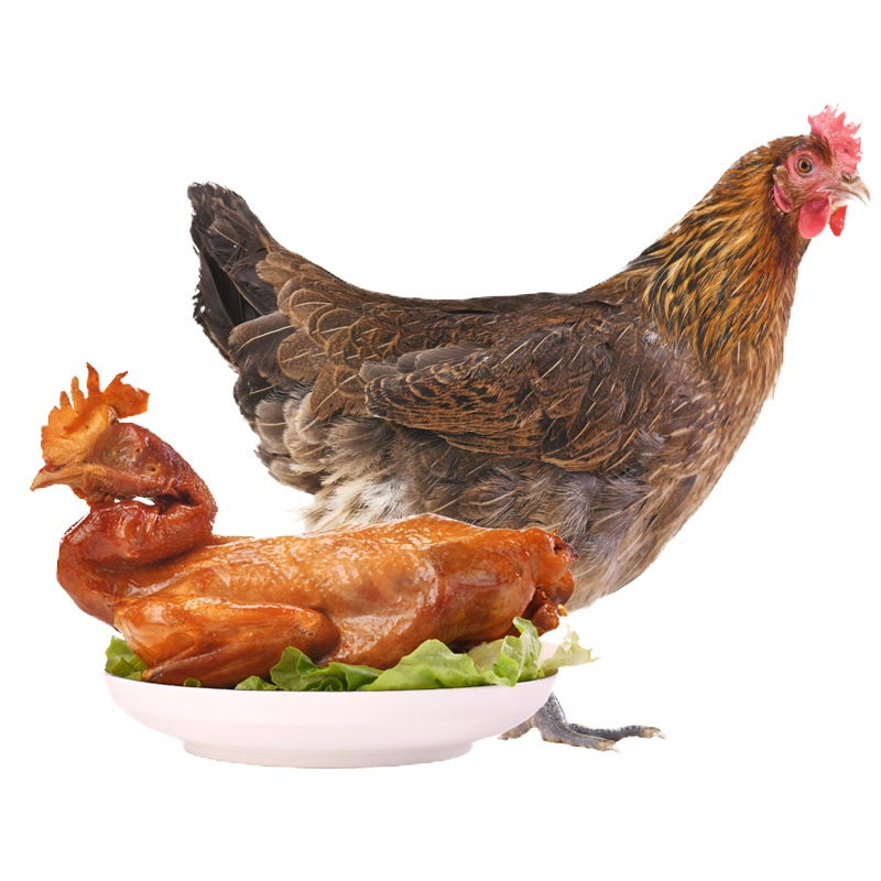 黔农榕江小香鸡整只手撕鸡开袋即食新鲜鸡肉熟食农村农家散养走地土鸡