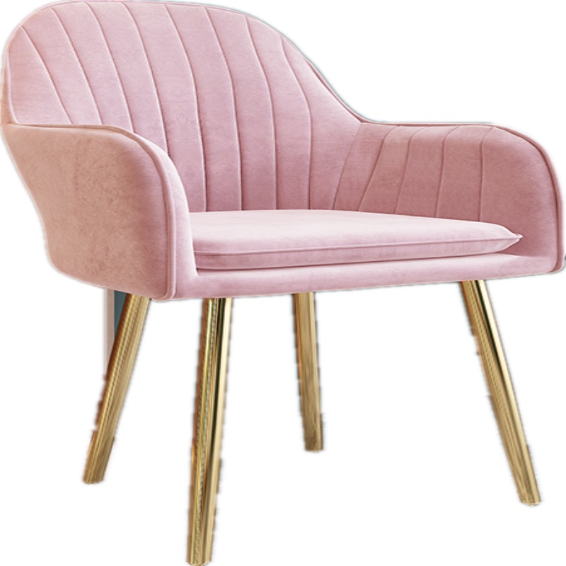 北欧简约现代餐厅椅子靠背凳子欧式餐椅家用轻奢书桌椅谈判洽谈椅