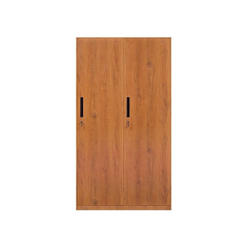 星岛木纹钢制更衣柜办公室办公柜铁皮柜子档案柜资料柜书柜带锁储物柜2门更衣柜胡桃木纹