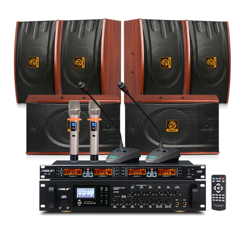 狮乐会议室音响组合套装(功放+壁挂音箱)专业会议背景音乐音响系统可选无线话筒套餐 8820+118红*6+10话筒