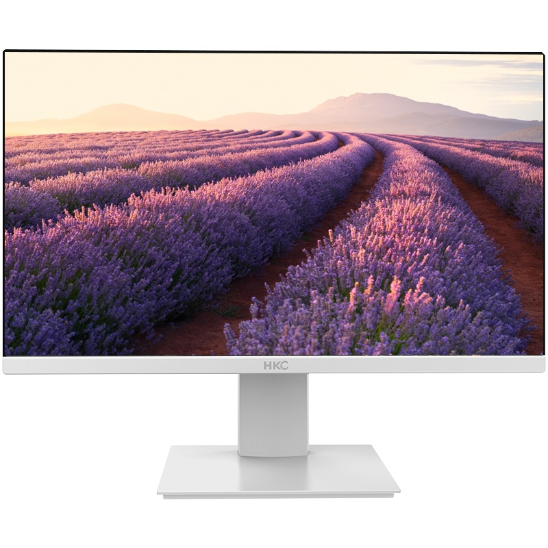 HKC 23.8英寸 VA面板 宽屏 三边窄边框 办公显示屏 壁挂 支持快拆 滤蓝光不闪屏 电脑液晶显示器 H249SW