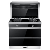 新飞集成灶一级能效4.5KW猛火双灶顶部智能加热紫外线消毒5键触控开关热电偶熄火保护烟灶消一体机A201-1580液化气