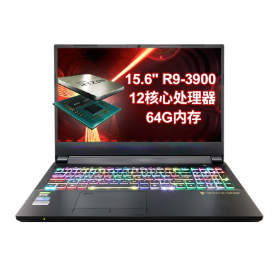 未来人类AMD-27X9SH1发烧级游戏本 AMD十二核处理器R9-3900 2070显卡8G显存 双通道内存64G 1T PCIe SSD +1T 设计师高性能笔记本电脑