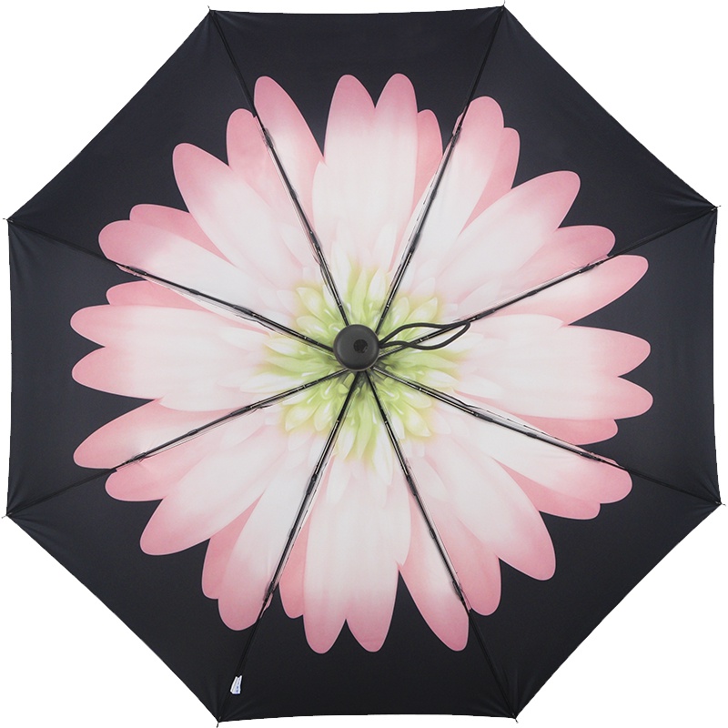 海螺晴雨伞高档小黑伞6001-1