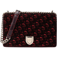 Christian Dior 克丽斯汀·迪奥 女士织物配皮单肩斜挎包 M0422OTOT