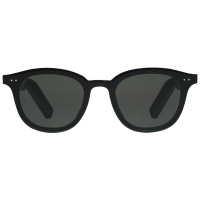 华为 HUAWEI X Gentle Monster Eyewear 智能眼镜高清立体声 SMART EASTMOON-01(黑色)