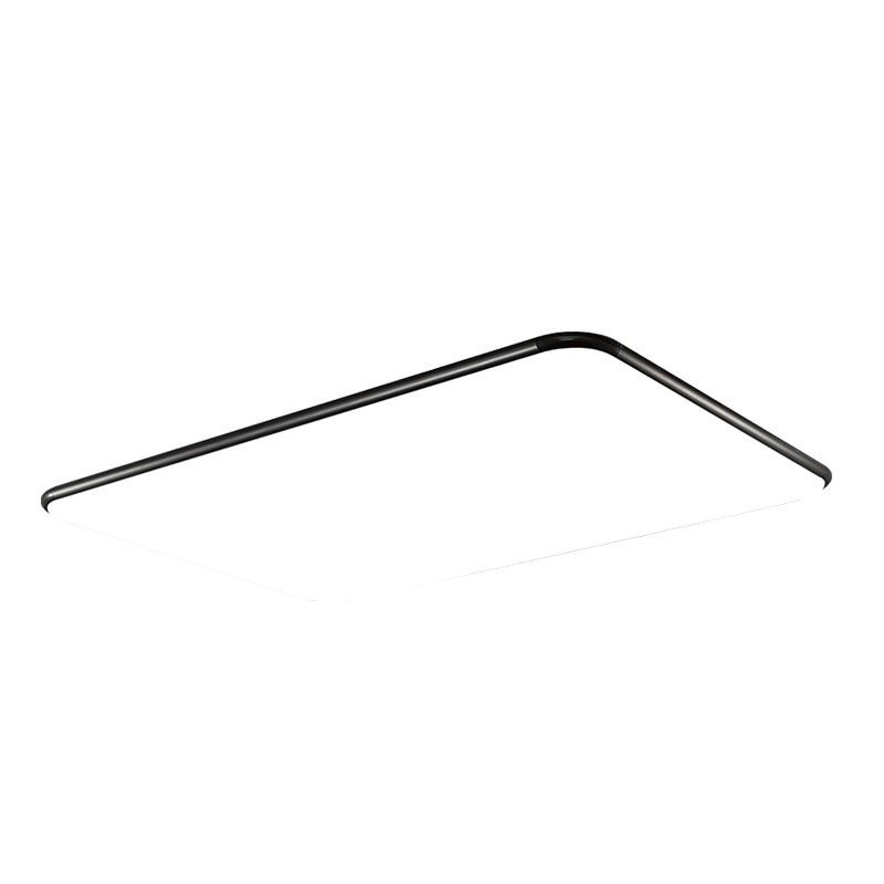 雷士照明(NVC)北欧客厅吸顶灯简约现代长方形卧室餐厅调光LED亚克力创意黑色苹果灯具灯饰套餐智能AI语音调控 测试商品