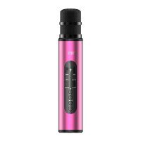 索爱(soaiy)专业麦克风家用电视唱歌K歌卡拉OK MC20(罗兰紫)
