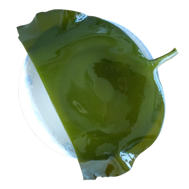 博多客 荣成盐渍海带头 海带根昆布 生鲜 海带丝2.5kg