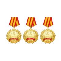 奖章先进党务工作者党龄纪念章建党勋章党员纪念章 (纸盒)