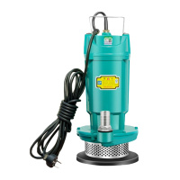 DP 电动抽水泵 灌溉农用家用抽水机 动车大流量水井水泵2200w 2.5寸