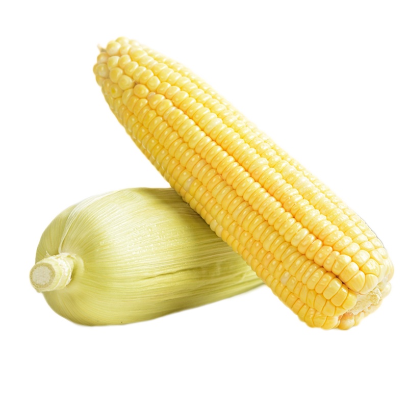 云南水果玉米5斤装 鲜嫩多汁 甜脆可口 可生吃可煲汤可蒸煮 KFC的玉米就是它