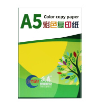 众森 彩色复印纸 80g A5打印纸 a5橙色 财务发票 医院诊单出库发货单 500张/包 10包装(整箱5000张)