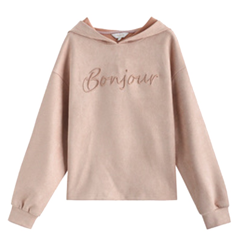 专柜同款长袖连帽卫衣女装2019新款韩版宽松套头打底衫春秋季薄款ins上衣709D1021