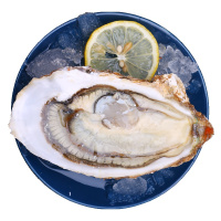 海洋岛 大连鲜活大生蚝牡蛎8只约1300g(3头/500g)海鲜水产生鲜 坏单包赔
