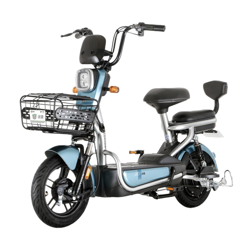 绿源(LUYUAN)电动车新款48v20a锂电池长续航电瓶车FEA男女代步电动自行车 钛金蓝