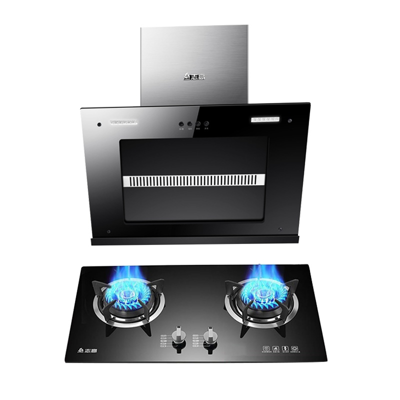 志高(CHIGO)F810+F216A欧式直吸抽油烟机燃气灶具套餐双灶眼 电机免费终身换新 (天然气)