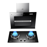 志高(CHIGO)F810+F216A欧式直吸抽油烟机燃气灶具套餐双灶眼 电机免费终身换新 (天然气)