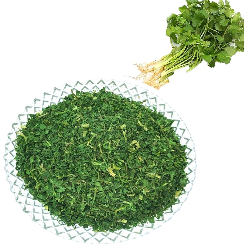 脱水干香菜提味蔬菜调料香菜颗粒干香菜叶调味提味香菜干250g