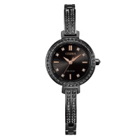 国行 西铁城(CITIZEN)手表 光动能黑盘不锈钢覆BIP表带时尚商务女表 EM0865-58E