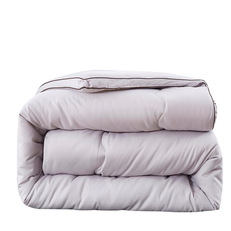 北极绒(Bejirog)家纺 简约时尚秋冬加厚舒适冬被被子被芯