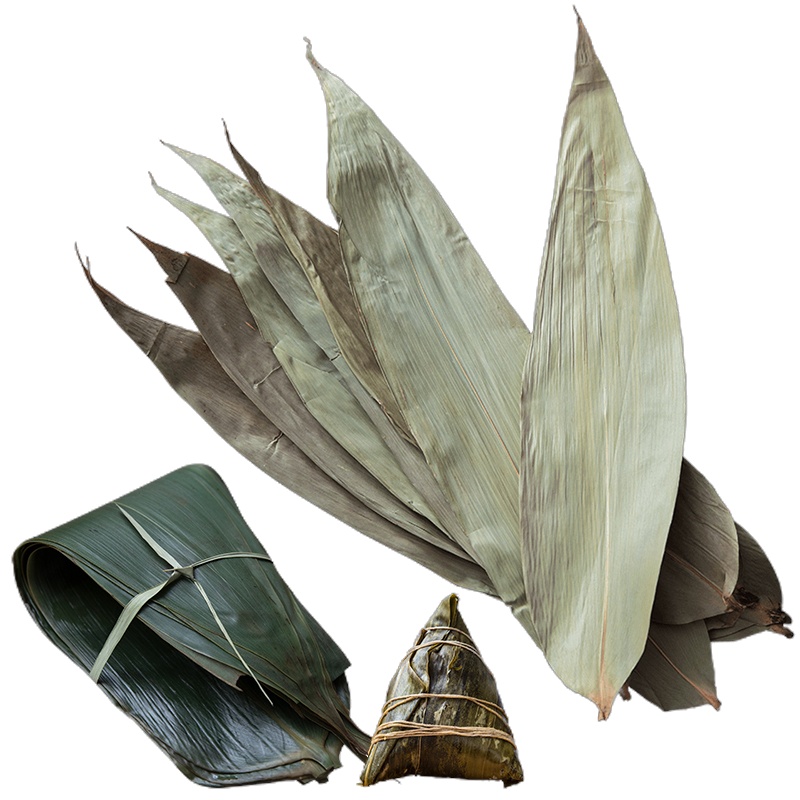 盛耳 粽叶100张免邮新鲜大粽子叶大号干粽叶包粽子的叶子竹子端午节材料