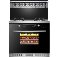 板川(SAKACO)集成灶智尚宝P20GZ蒸箱5.0大火力置物台侧吸下排式一体灶油烟机燃气灶套装液化气